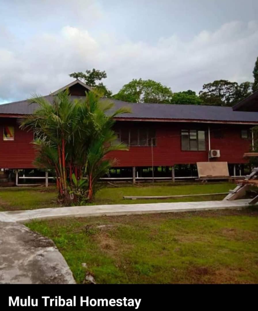 Mulu Tribal Homestay エクステリア 写真