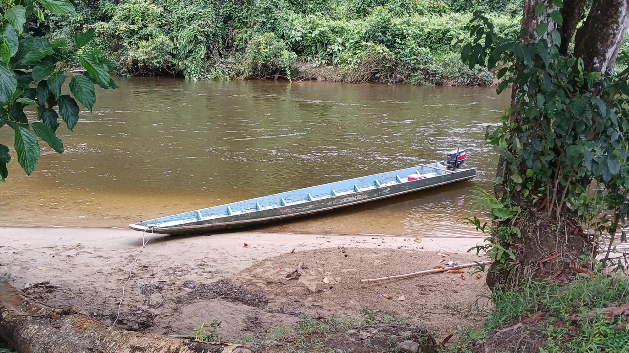 Mulu Tribal Homestay エクステリア 写真